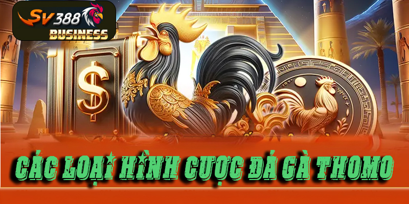 Các loại hình cược đá gà thomo